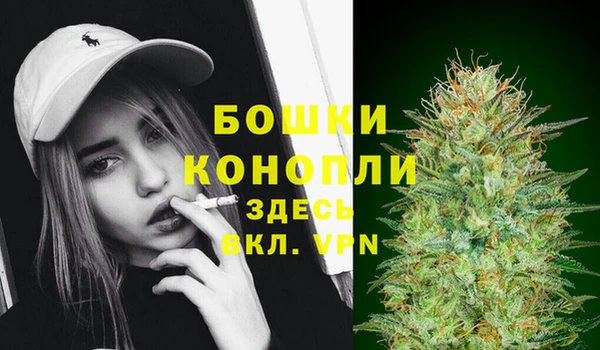 хмурый Дмитриев