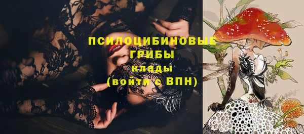 хмурый Дмитриев