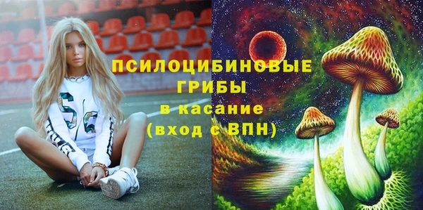 apvp Елабуга