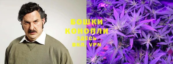 первитин Ельня